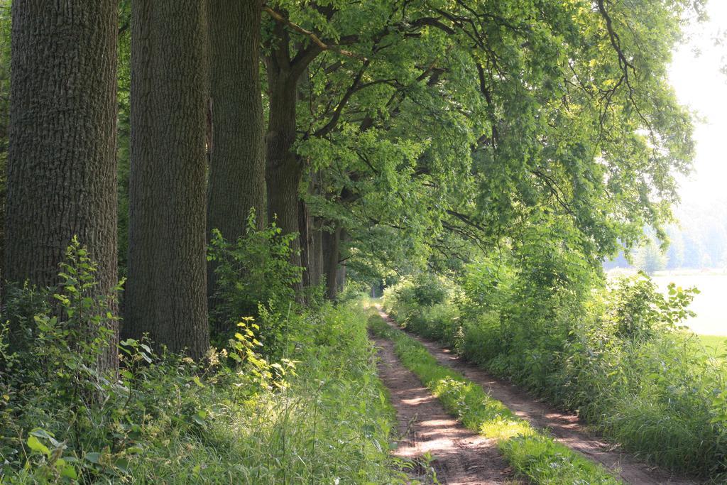 Palac Pozorty Bądki Buitenkant foto